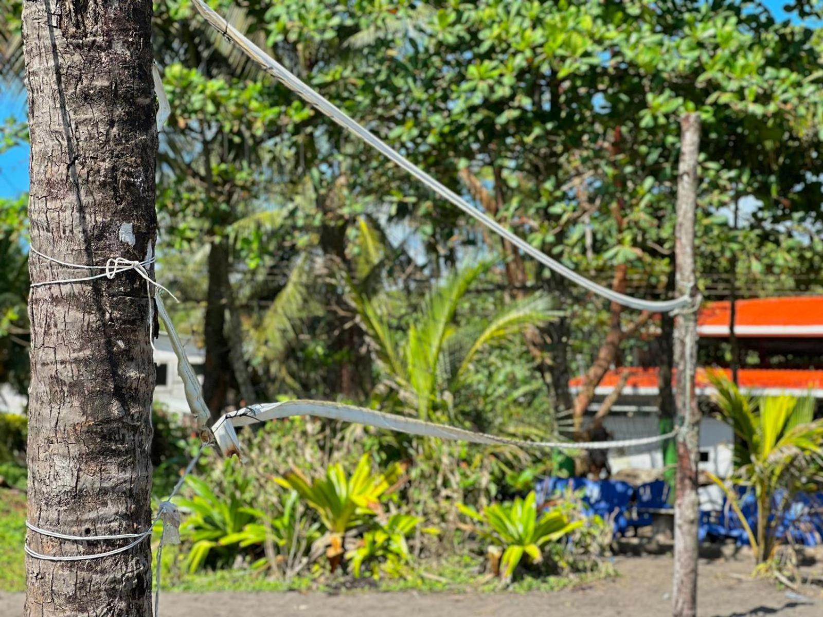 El Deseo Serendipity Tortuguero Exterior foto